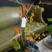 tropical-design-with-birds-of-paradise-oncidium-orchid-anthurium-and-protea-15000
