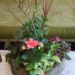 box-garden-red-birch-branches-with-african-violet-variegated-pothos-and-peach-begonia-